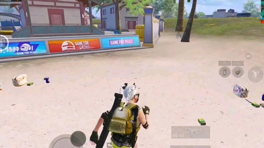 和平精英DDYS辅助